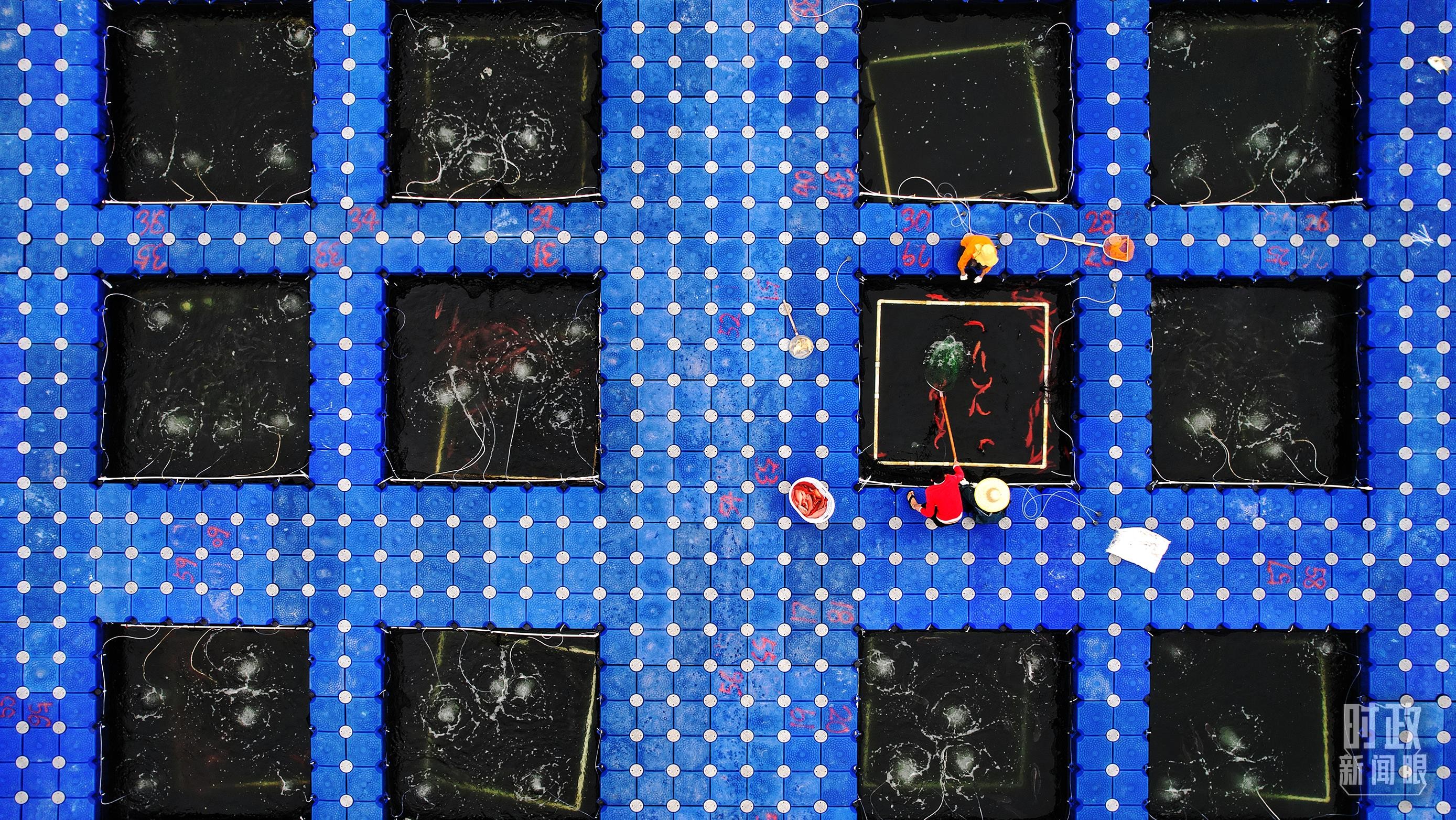 时政新闻眼丨习近平赴广东湛江考察，承载哪些战略考量？ Z4hMN0nO8h8Znm84jpg