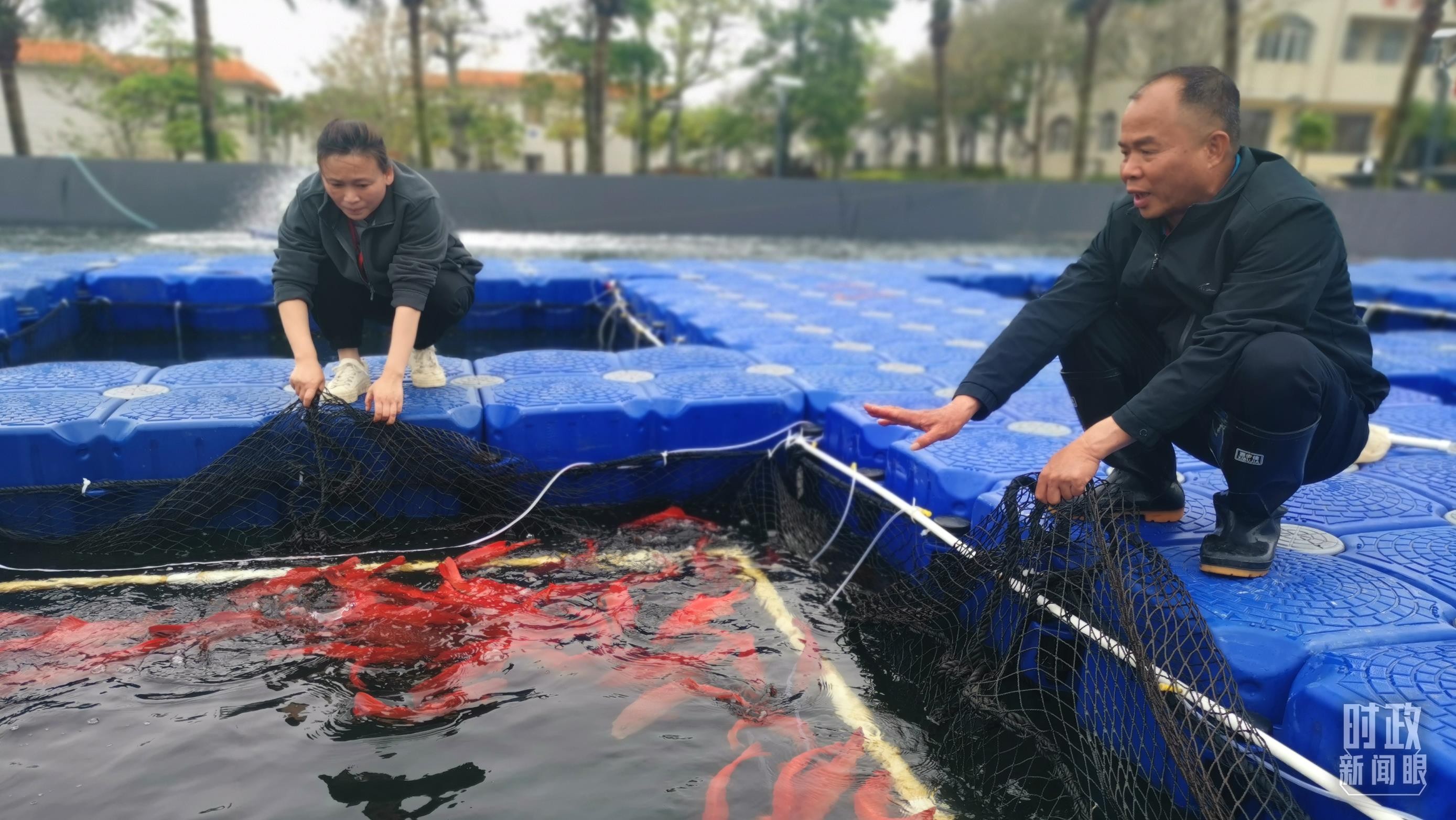 时政新闻眼丨习近平赴广东湛江考察，承载哪些战略考量？ oOhSMyG885GO3GYWjpg