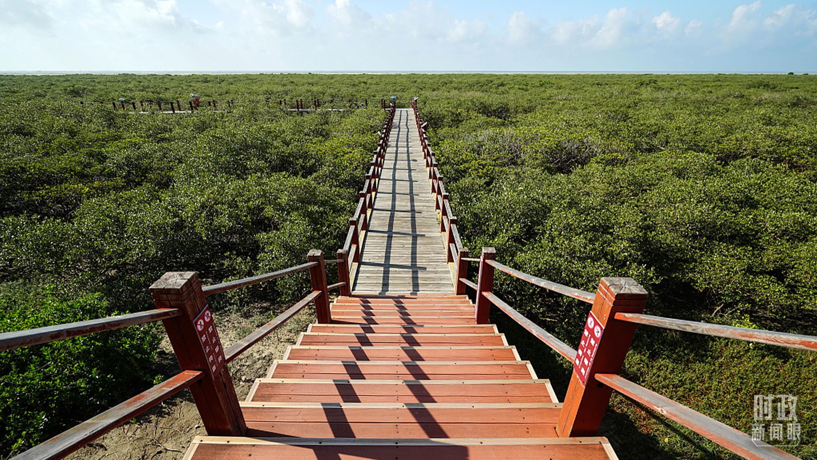 时政新闻眼丨习近平赴广东湛江考察，承载哪些战略考量？ Xm0wVArGrg6AgOpUjpg