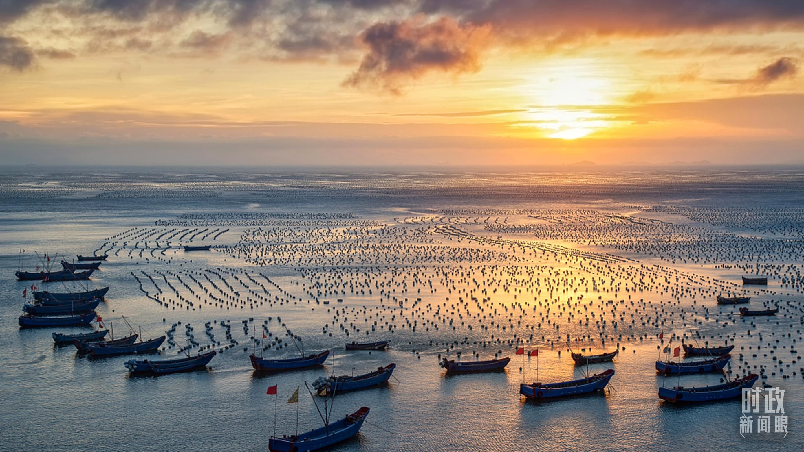 时政新闻眼丨习近平赴广东湛江考察，承载哪些战略考量？ Vwi08e0PlzVt3XPLjpg