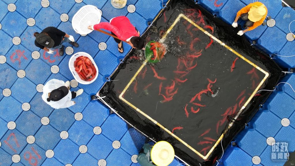 时政新闻眼丨习近平赴湛江考察，承载哪些战略考量？ Yx6TBr3xZuQD99Rdjpg