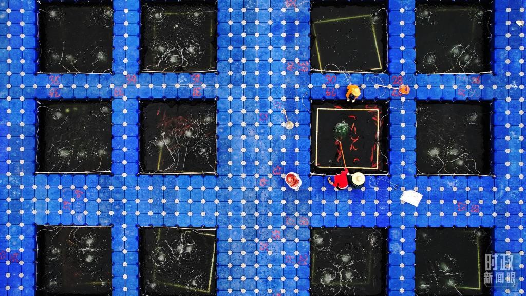 时政新闻眼丨习近平赴湛江考察，承载哪些战略考量？ MzSjH1xZ0diuss97jpg