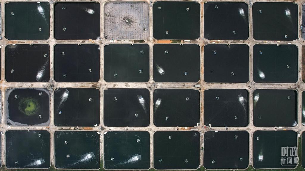 时政新闻眼丨习近平赴湛江考察，承载哪些战略考量？ WmeQ1z1z0EQeEEQQjpg