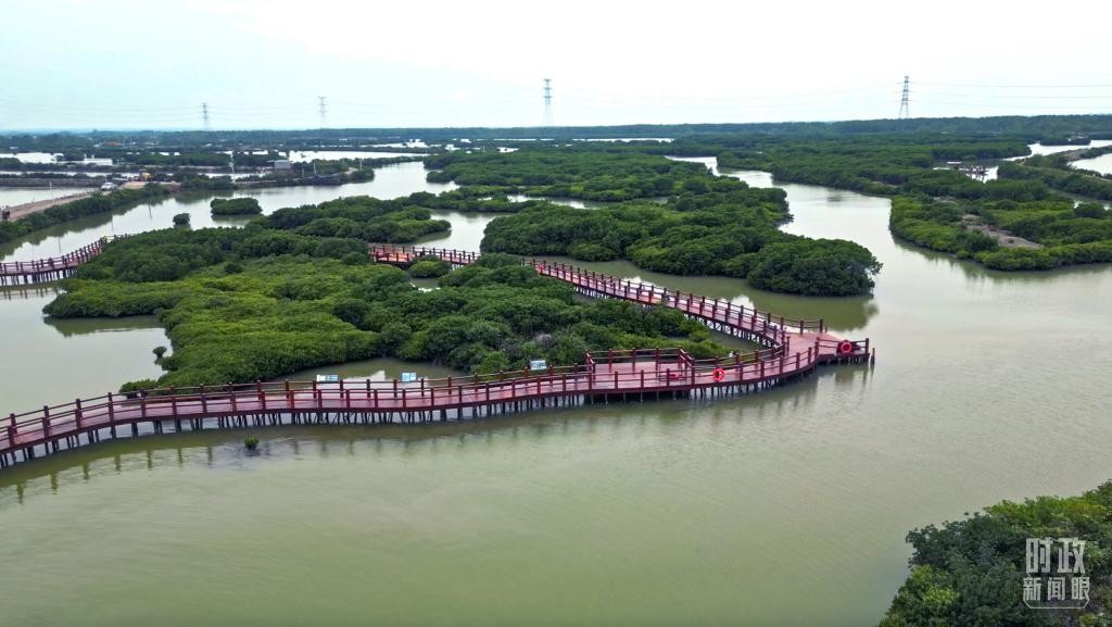 时政新闻眼丨习近平赴湛江考察，承载哪些战略考量？ uwH9y1H0hDZP8mw9jpg