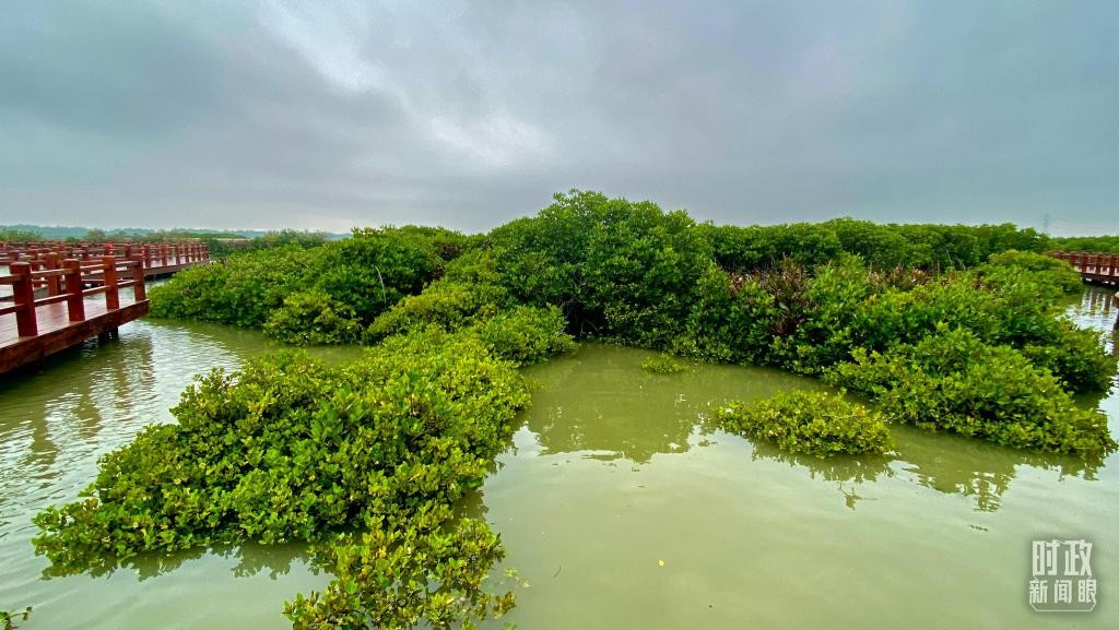 时政新闻眼丨习近平赴湛江考察，承载哪些战略考量？ ytkmeT1iaSq92q14jpg