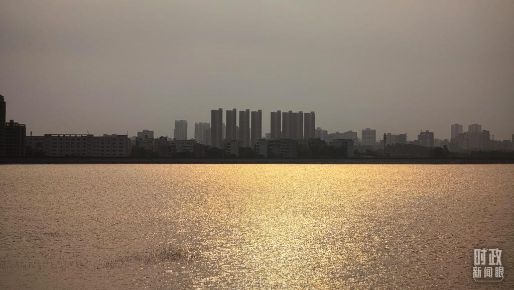 时政新闻眼丨习近平赴湛江考察，承载哪些战略考量？ NF46Xl4jW59l1pZ6jpg