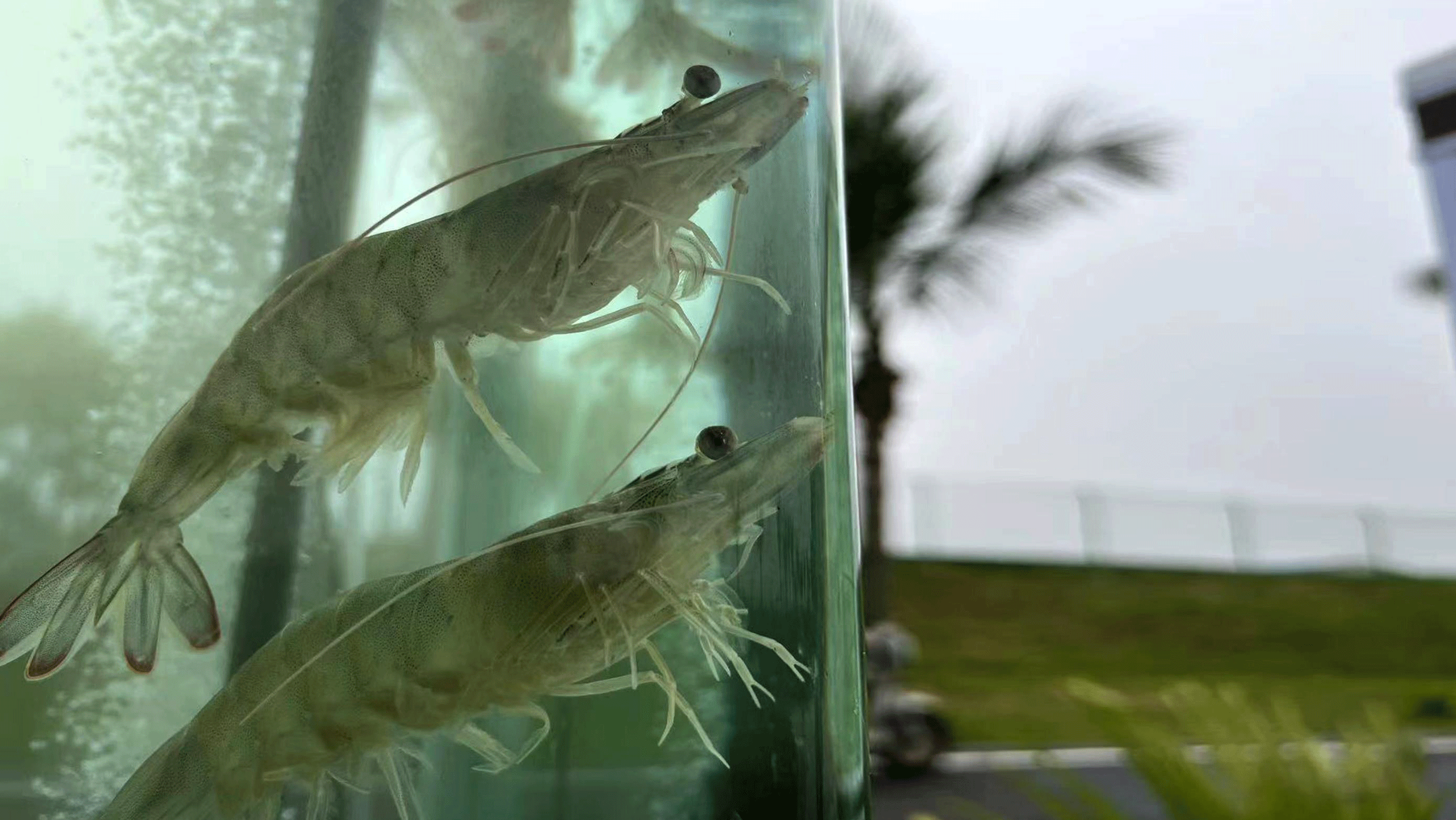 时政微观察丨总书记湛江看“海”，关切这些“国之大者” PM7Pp1MiBcQpoEXfjpg