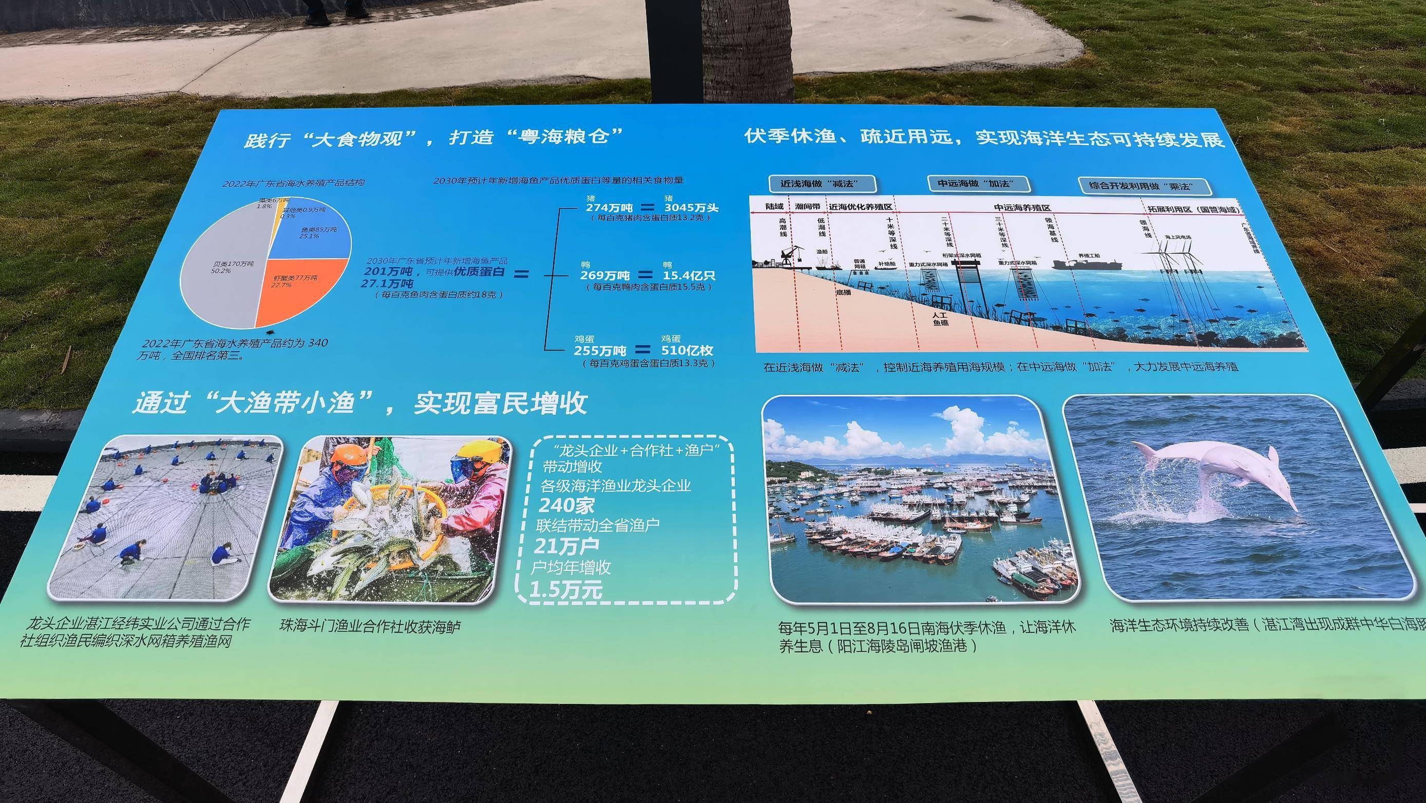 时政微观察丨总书记湛江看“海”，关切这些“国之大者” P2p8VpVcvV5iIr2Vjpg