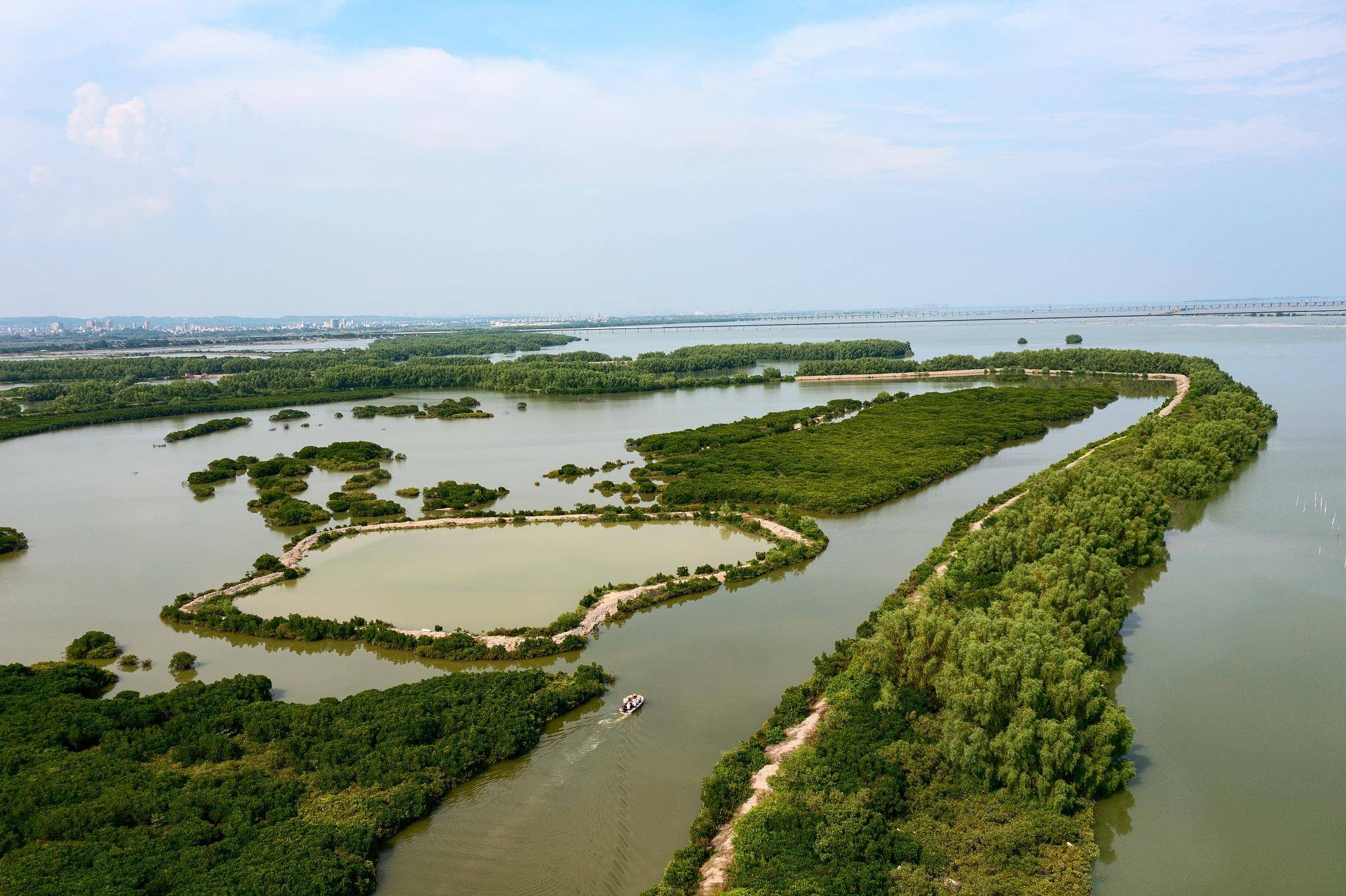 时政微观察丨总书记湛江看“海”，关切这些“国之大者” asp07oHy5aM40z55jpg