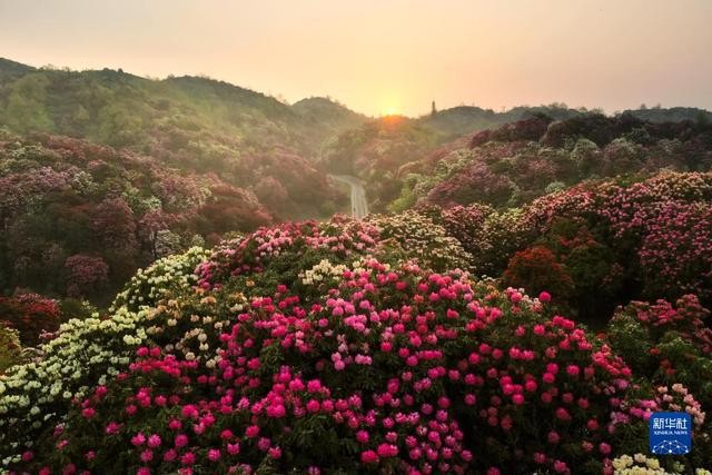 春日到贵州来看“海” TFuEL0UmMx776s6cjpg