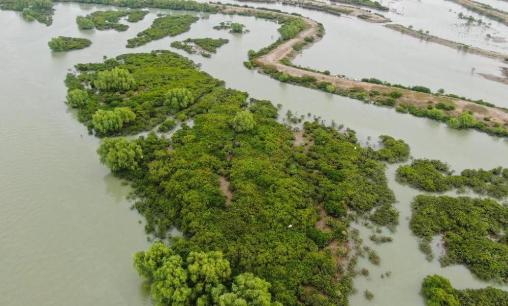 “在推进中国式现代化建设中走在前列”——习近平总书记考察广东纪实 xZIlzikis9MMMibljpg
