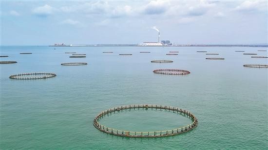 如何做好海洋强省这篇大文章？院士“天团”来支招！ Doz7JPXuHLLGAHAPjpg