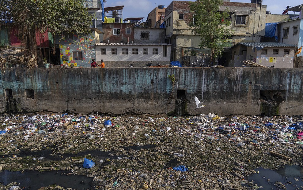 图说｜塑战速决？塑料垃圾正在污染生态系统，人类如何应对 B4nP4oP3c4Sc3JVJjpg