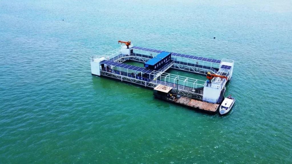 湛江这个满满科技感的“巨无霸”投用！现代化海洋牧场活动月启动 LL2GPbG4pZy2bGIXjpg