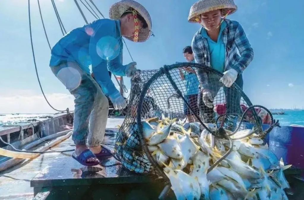 湛江这个满满科技感的“巨无霸”投用！现代化海洋牧场活动月启动 IKRCEoOkDz4ZdsITjpg