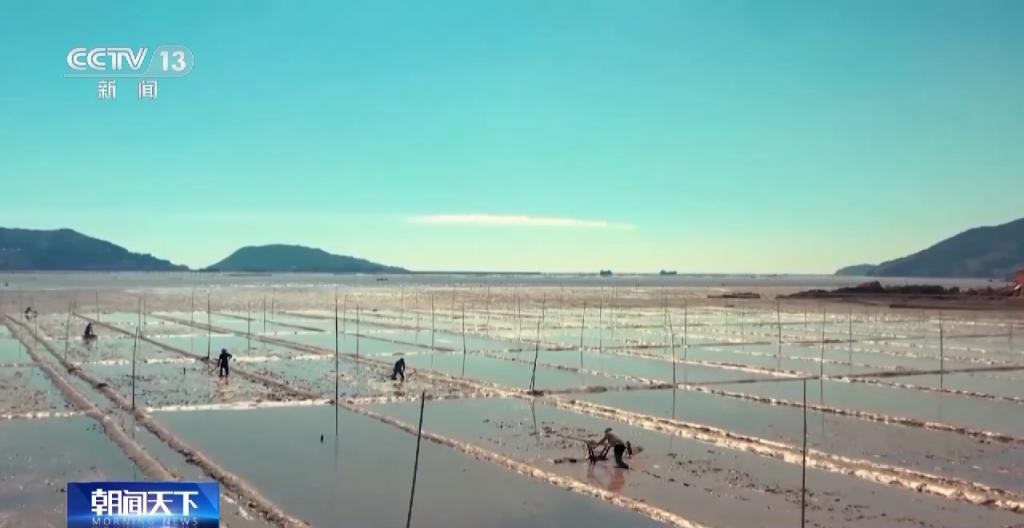 红树林让滩涂美了，村民富了 wo66SXsX1hVV0sxpjpg