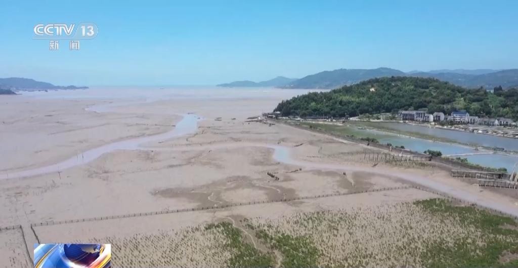 红树林让滩涂美了，村民富了 yI7773igpLGpoGsdjpg