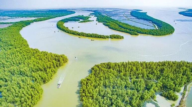 海洋生态文明怎样建设？广东念好“三海经” iMbCP9Zt6MtZTzT3jpg