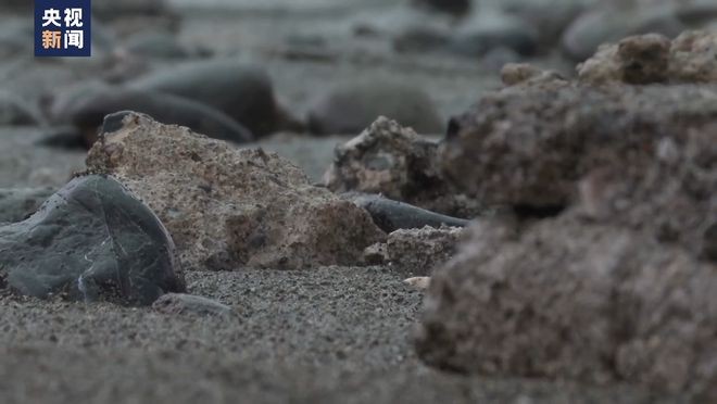 日本学者：核污染水排海计划成本最低却危害深远 ID0RC8zKDQD0101rjpg