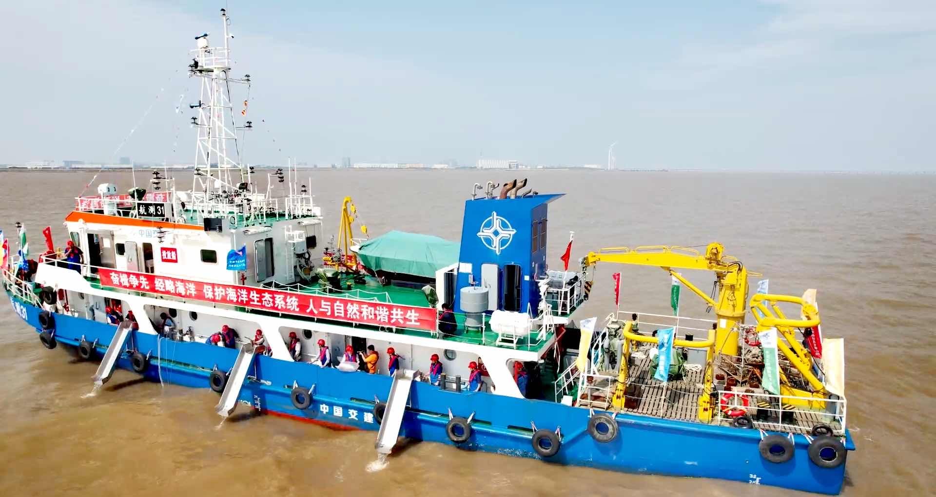 上海临港滨海海洋生态保护修复项目下月开工，将向公众开放 djLw0vB4dULEWMo1jpg