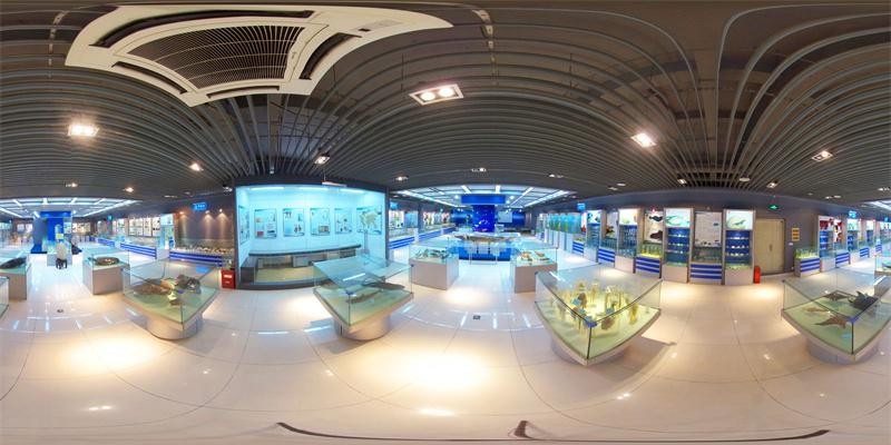 2023,锚定海大!海宝海薇带你 VR 逛校园 s2UhBoeUolmHeM33jpg