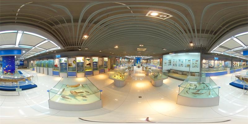 2023,锚定海大!海宝海薇带你 VR 逛校园 d4w47WOFoTMCFFHgjpg