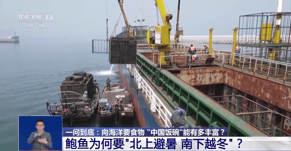 向海洋要食物，“中国饭碗”会有多丰富？建设“蓝色粮仓”我们这么干→ I7zWzt5b2S7tBI0yjpg