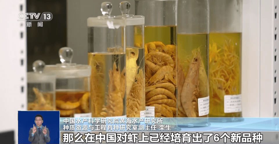 向海洋要食物，“中国饭碗”会有多丰富？建设“蓝色粮仓”我们这么干→ R7vC7c4HHj71vVJjjpg