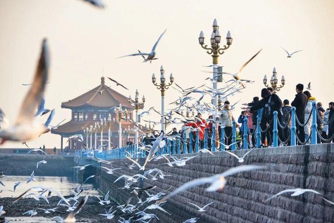 世界最美海湾：青岛湾和她的黄金海岸 suoTElCCUnlL54uijpg